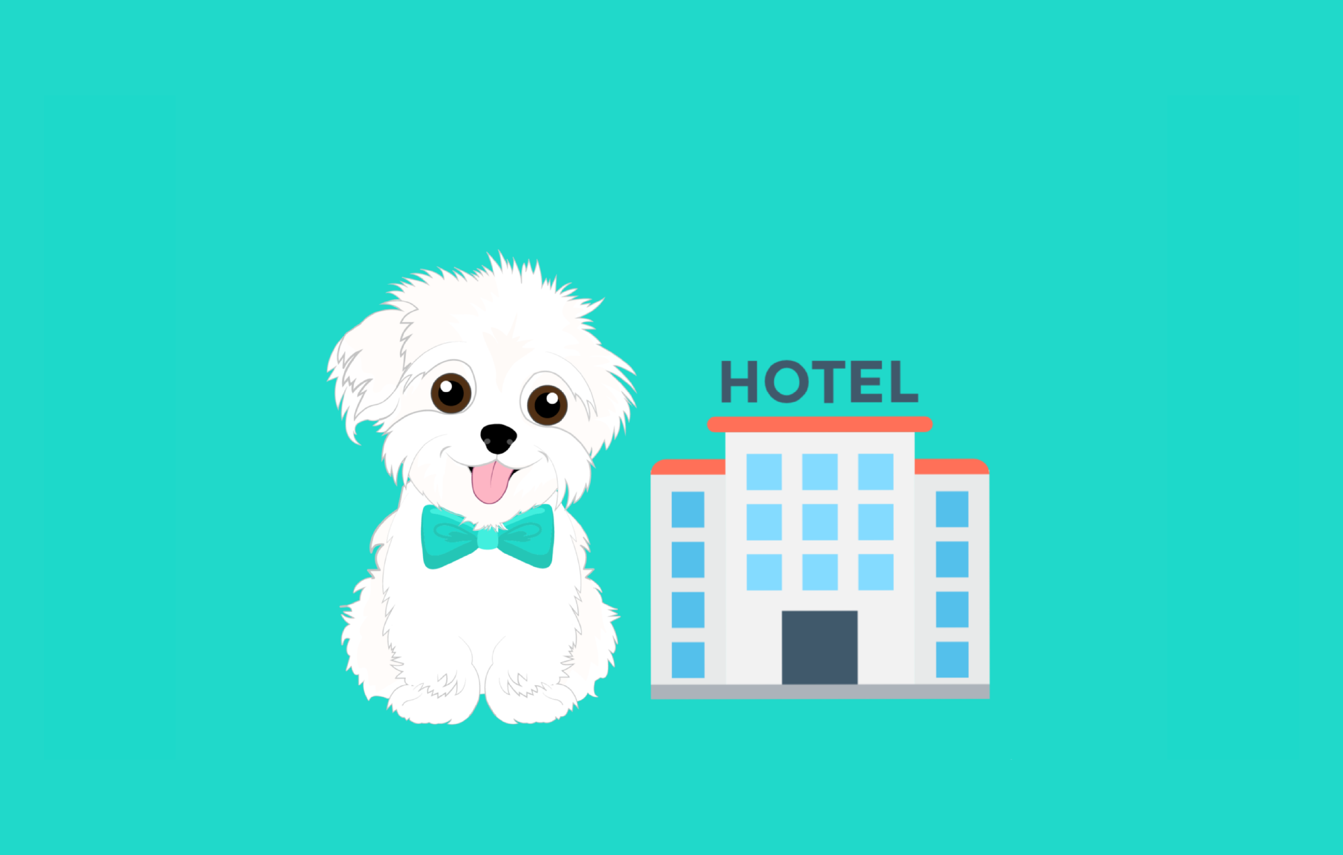 Hammy at a hotel