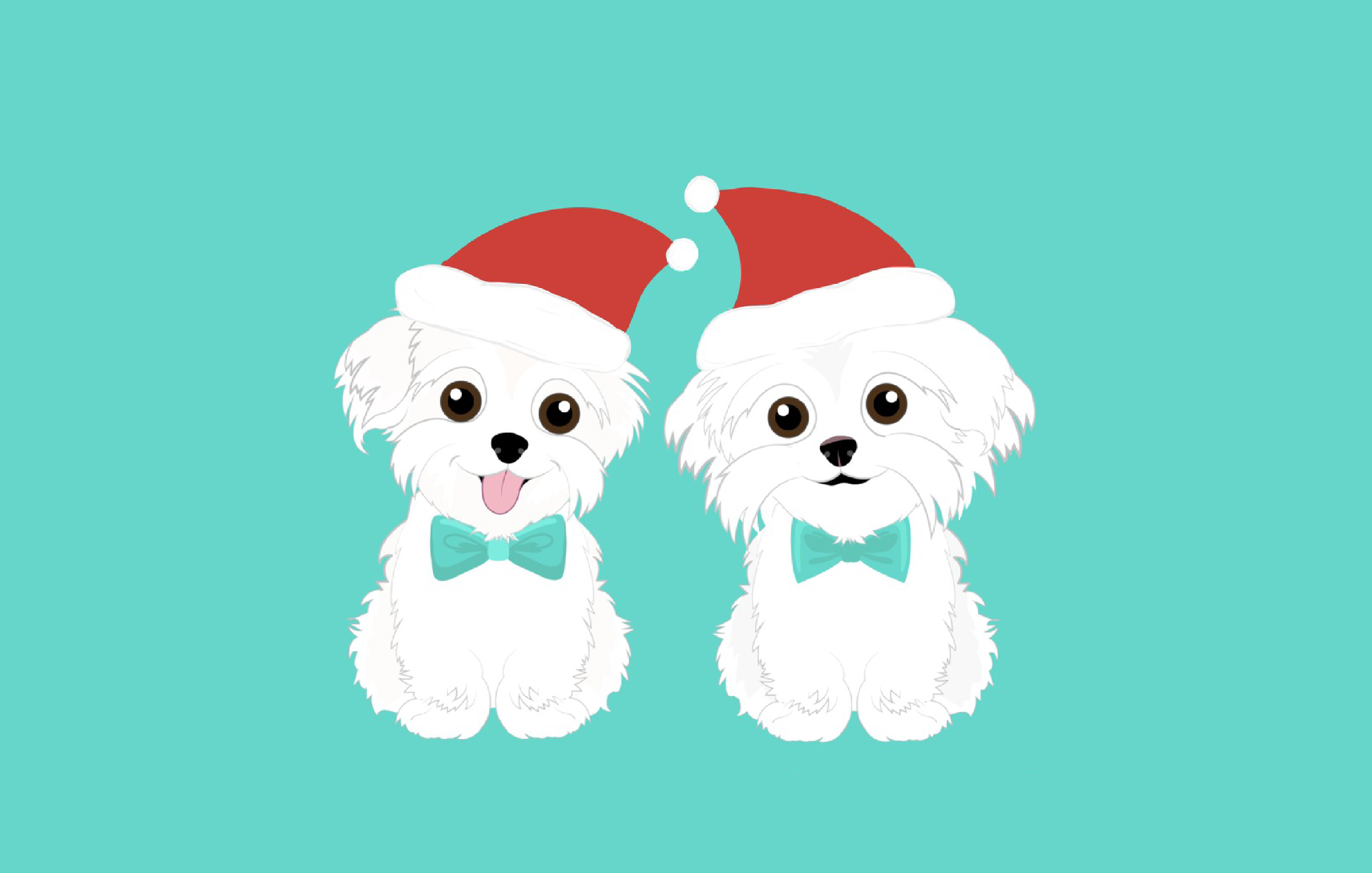 Hammy and Brody Christmas