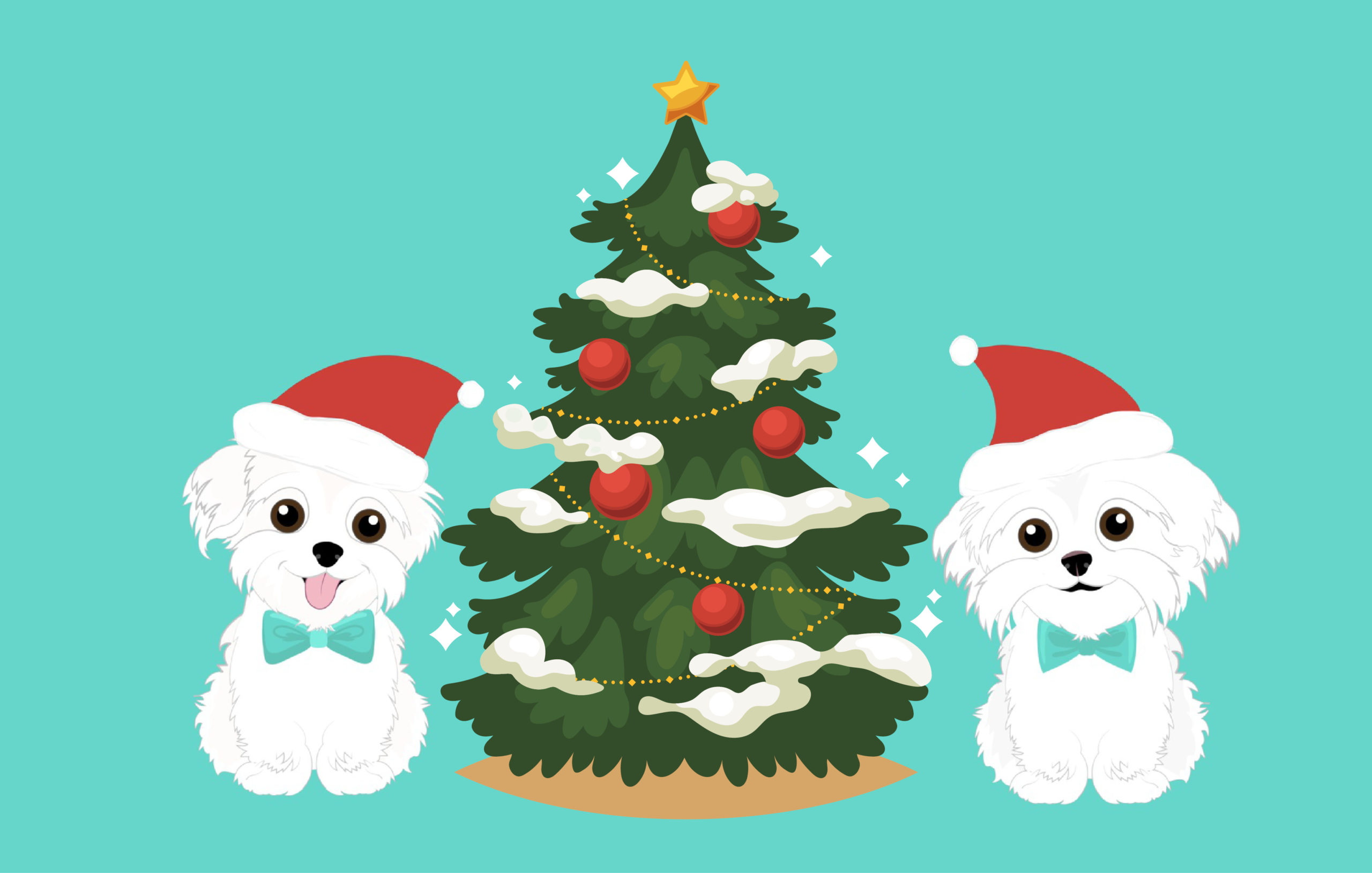 Hammy and Brody Christmas