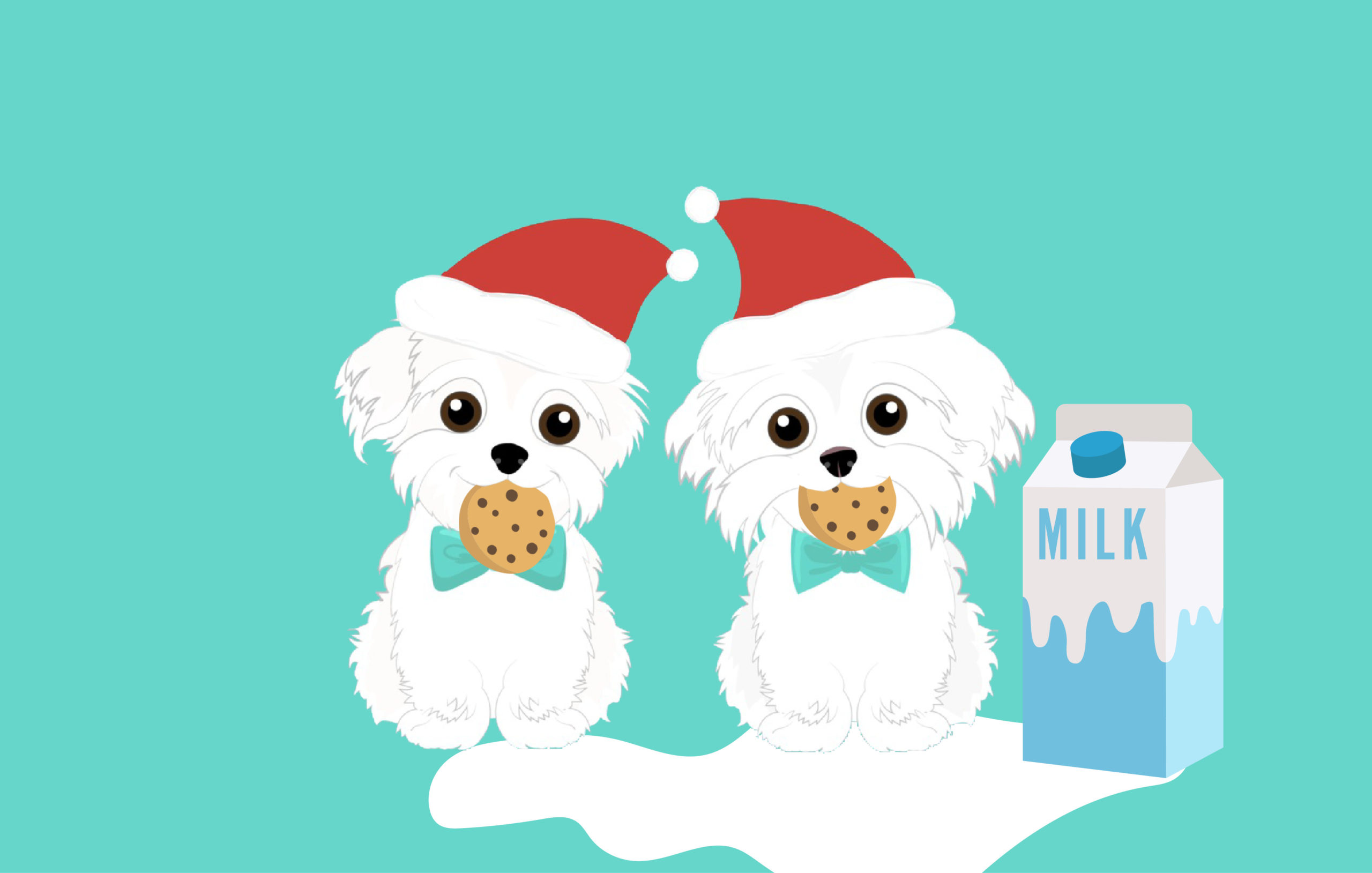 Hammy and Brody Christmas
