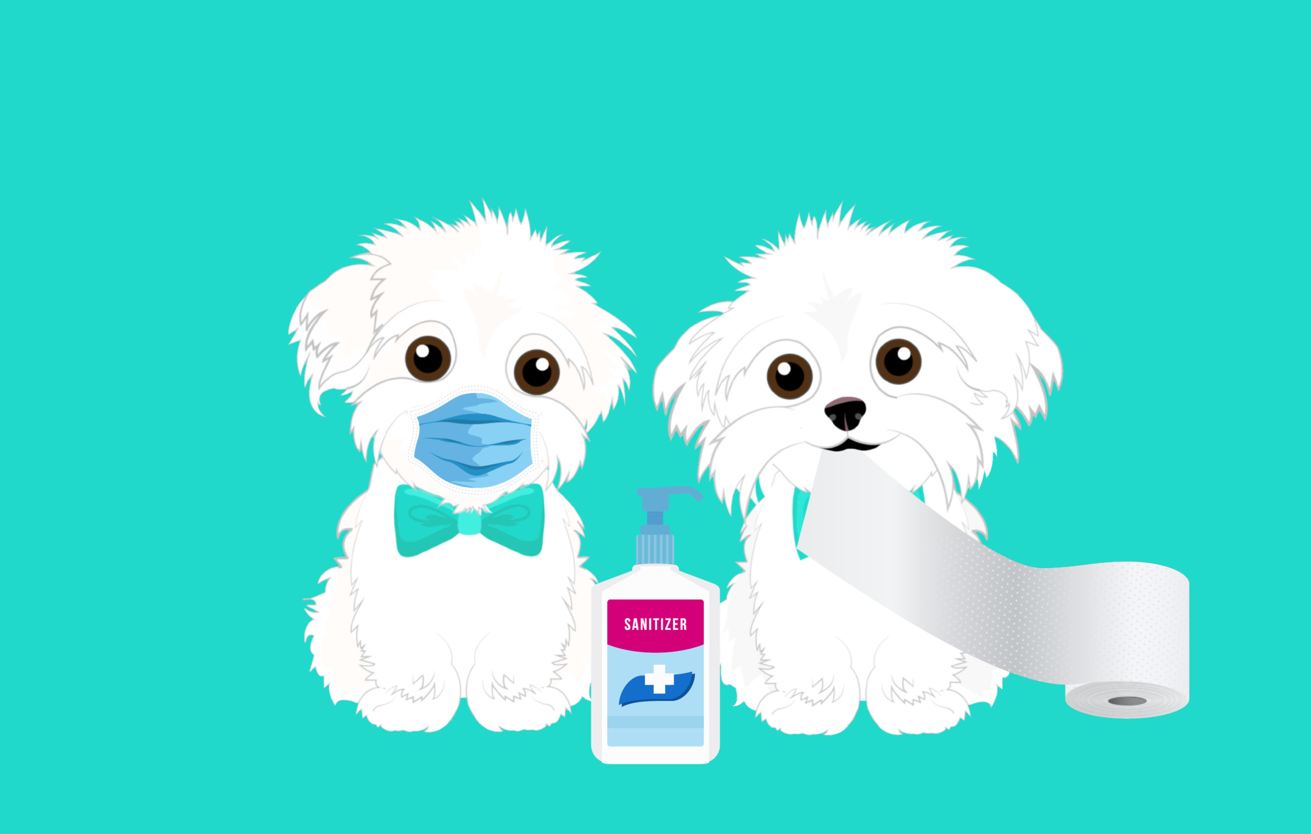 Hammy and Brody Quarantine