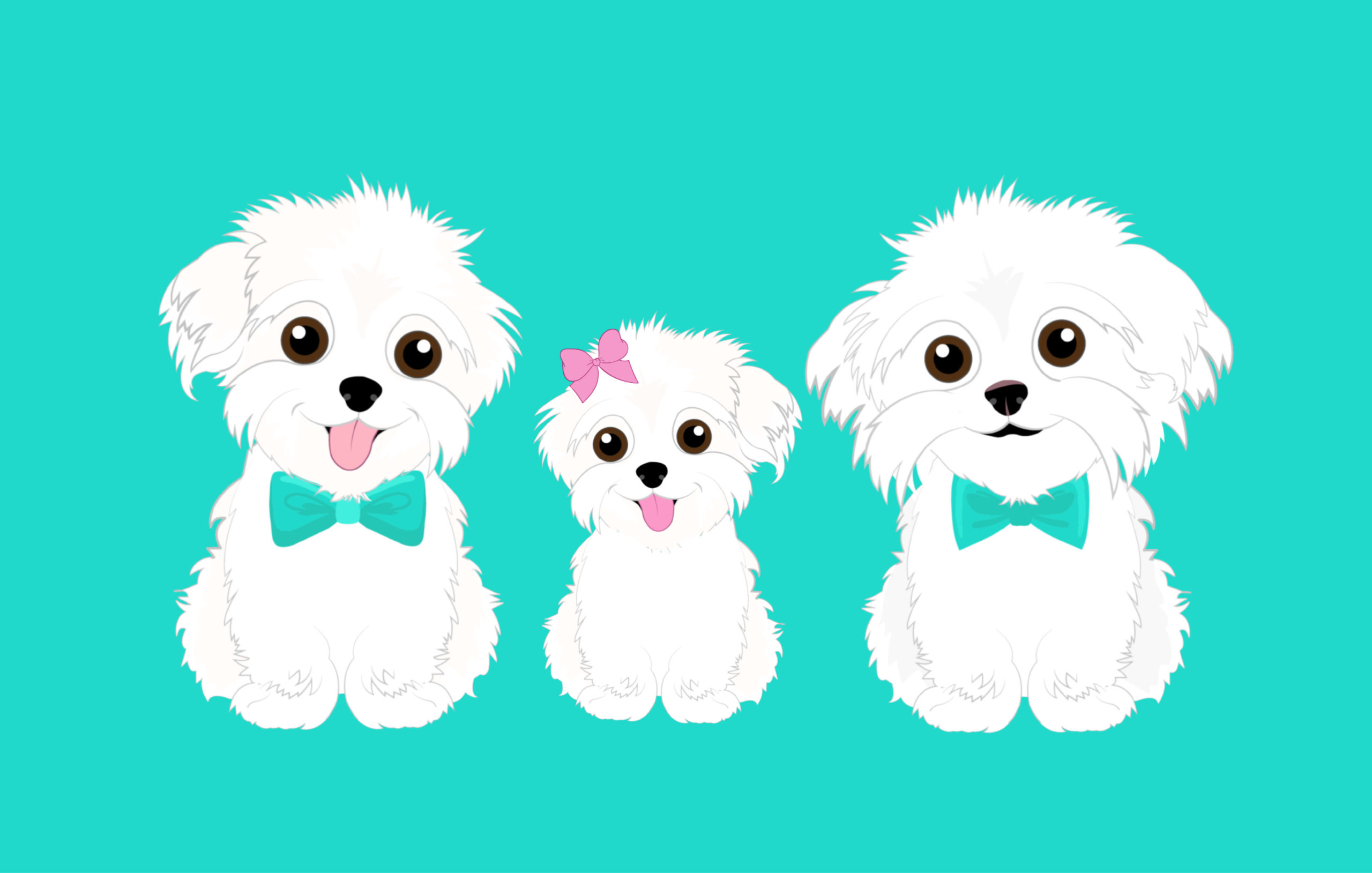 Adopting a Puppy