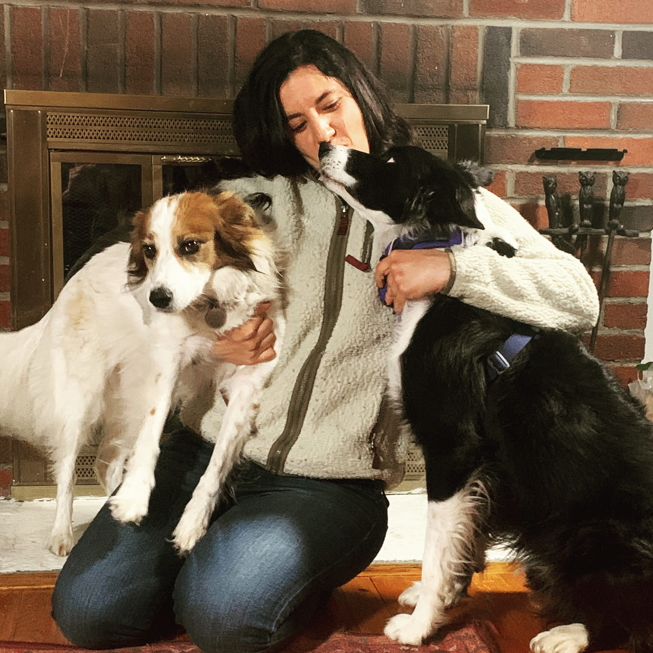 Adopting a Puppy with Hammy and Brody with Trainer Gia