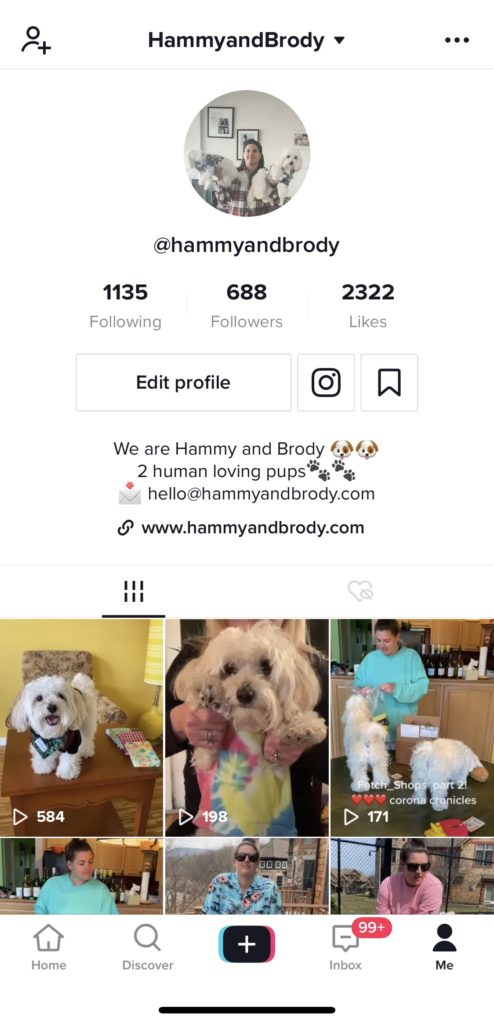 Hammy and Brody Quarantine