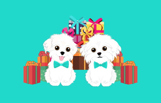 Hammy and Brody Giveaway