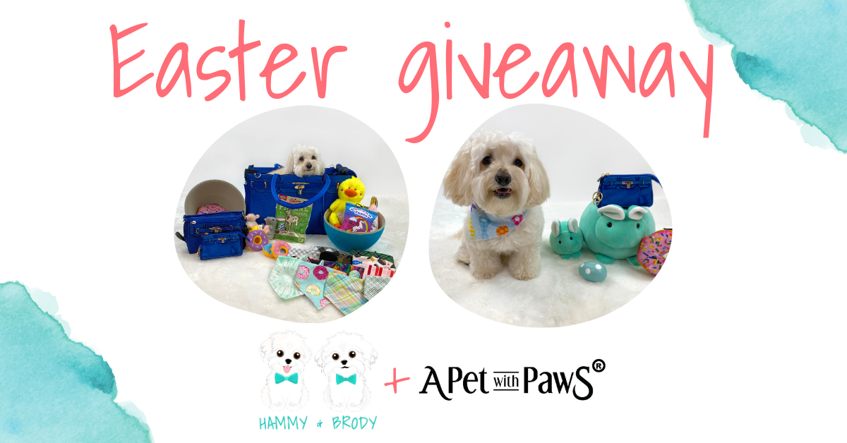 Hammy and Brody Easter Giveaway