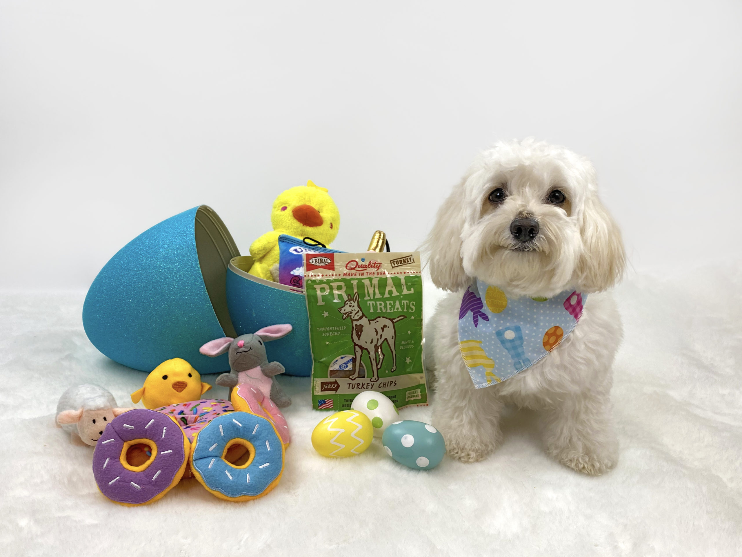 Easter 2021 giveaway