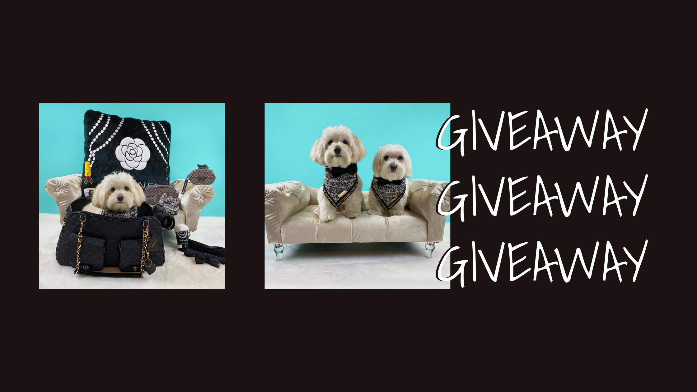 Little Maggie and Co and A Pet with Paws Giveaway